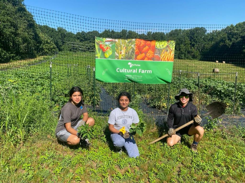 USDA Grant for Farming and Conservation Initiatives