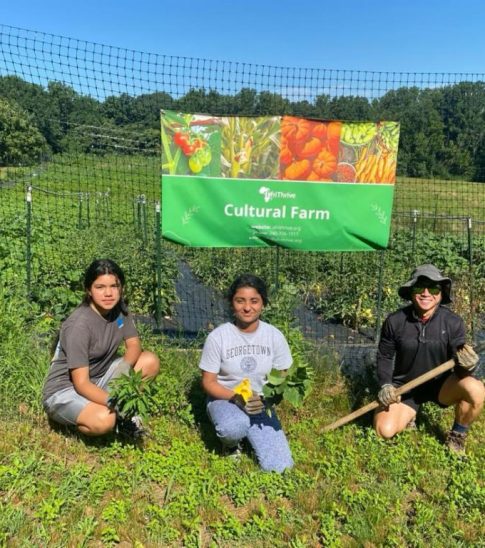 USDA Grant for Farming and Conservation Initiatives